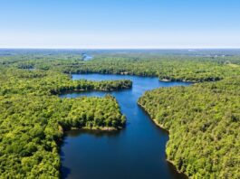 Muskoka Waterfront Retreat: Be the Only Resident on Little Kahshe Lake